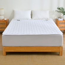 Raleigh Hypoallergenic Quilted Electric Blanket